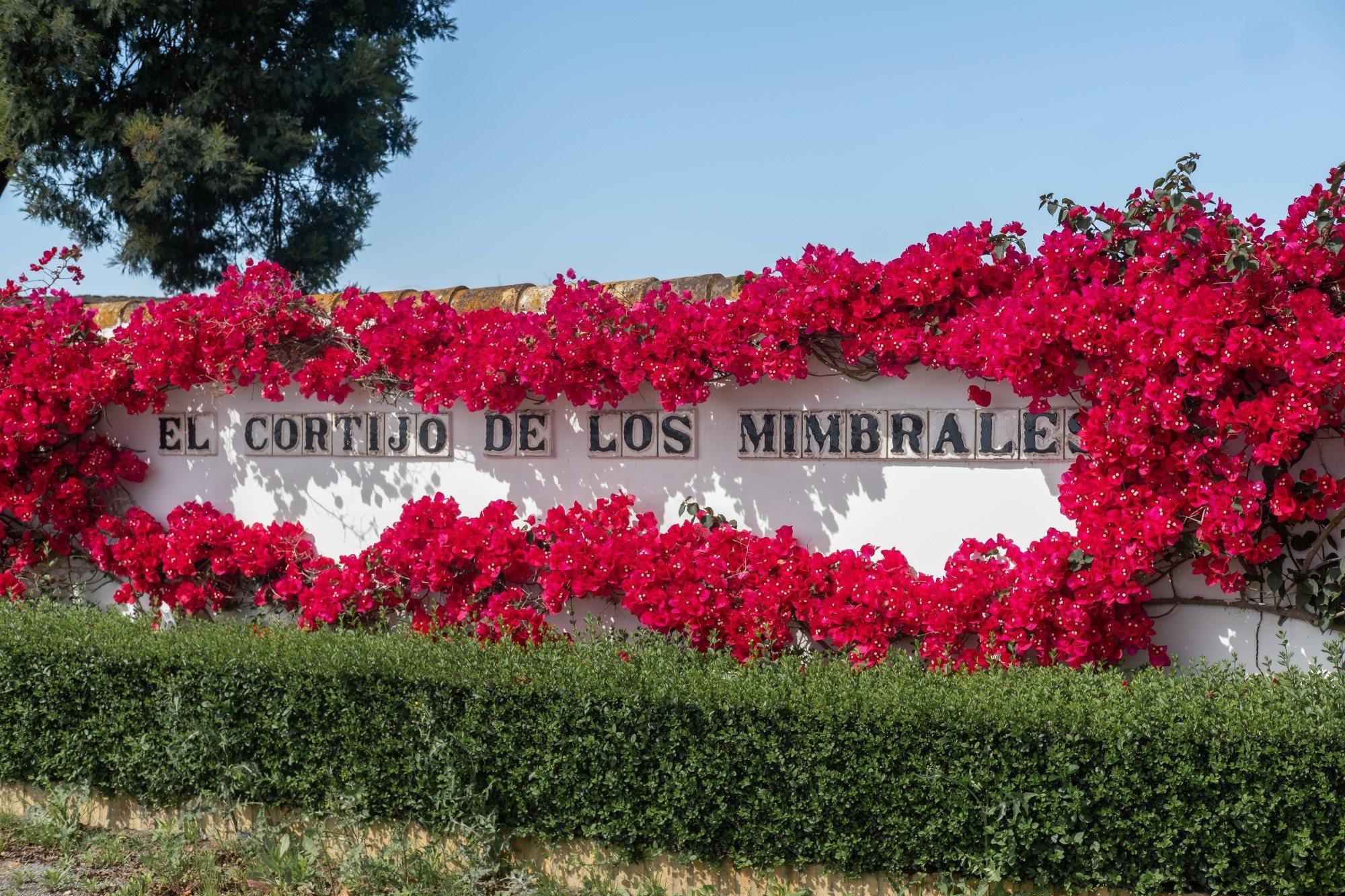 El Cortijo De Los Mimbrales Hotel Almonte Exterior photo