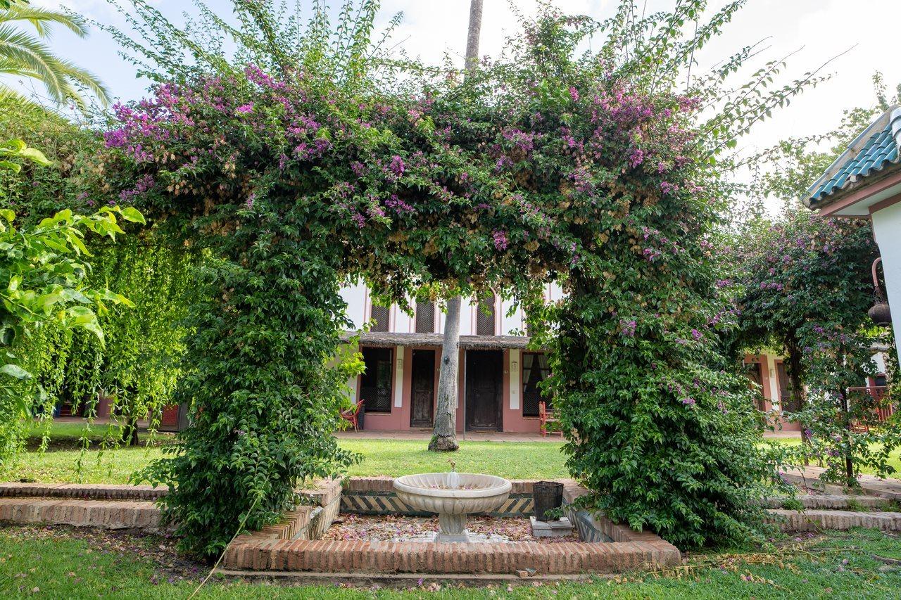 El Cortijo De Los Mimbrales Hotel Almonte Exterior photo